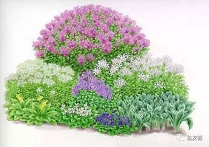 101張超高清精品手繪花境，驚艷你的視覺 下 化妝品