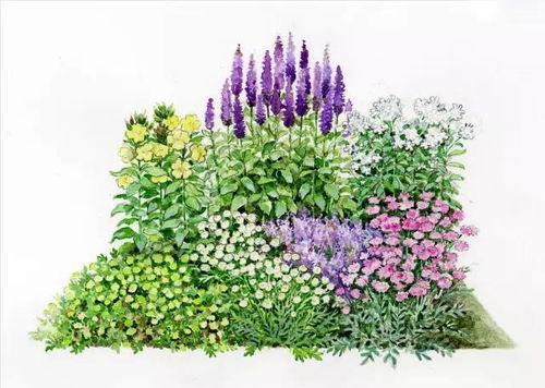 101張超高清精品手繪花境，驚艷你的家居視覺體驗